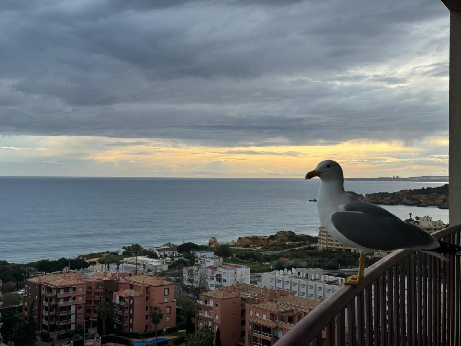 Sofiamarholidays - Casa Praia Mar Portimão Εξωτερικό φωτογραφία